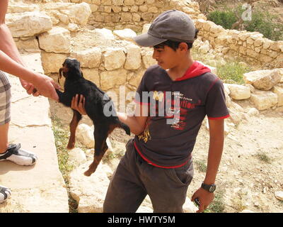 Village dana en Jordanie. Jeune garçon, berger a jeune chèvre. Banque D'Images