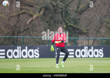 Vale Resort, Vale of Glamorgan, Pays de Galles, Royaume-Uni. Le 23 mars 2017. Danny Ward au cours de formation de l'équipe nationale du Pays de Galles à Hensol Château, Vale of Glamorgan, dans la perspective de la Coupe du Monde FIFA 2018 match de qualification contre la République d'Irlande. Photo par Mark Hawkins Banque D'Images