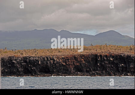 Vue de la côte de l'archipel des Galapagos île de Santa Cruz. Dans l'arrière-plan dans les 600 mètres au-dessus du niveau de la mer des hautes terres. Prise le 20.10.2016. Photo : Reinhard Kaufhold/dpa-Zentralbild/ZB | conditions dans le monde entier Banque D'Images