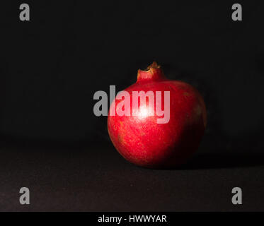 Grenadier sur fond noir still life Banque D'Images