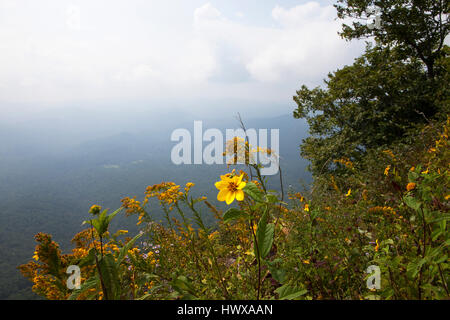 Whiteside Mountain, dans la forêt nationale de Nantahala, situé entre les caissiers et les hauts plateaux, sur l'US Highway 64 a "président" deux milles sentier en boucle prendre Banque D'Images