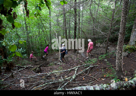 Whiteside Mountain, dans la forêt nationale de Nantahala, situé entre les caissiers et les hauts plateaux, sur l'US Highway 64 a "président" deux milles sentier en boucle prendre Banque D'Images