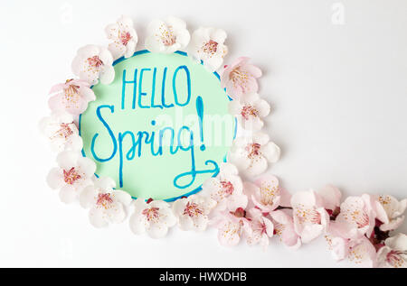 Bonjour printemps note calligraphie avec cherry blossom flowers Banque D'Images