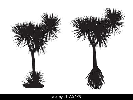 Deux arbres pandanus silhouette sur fond blanc Illustration de Vecteur