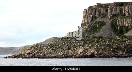 Substitution des terres et de strates de roche de feuillets d'est du sud face à des aspects de st aldhelm's head dorset uk Banque D'Images