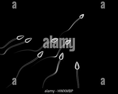 Illustration 3d de cellules spermatiques la compétition sur fond noir Banque D'Images