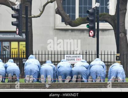 Conduite des agents de police d'un doigt recherche sur la place du Parlement près de la Maison du Parlement à Londres, après que sept personnes ont été arrêtés lors de descentes à Londres, Birmingham et d'ailleurs liée à l'attaque terroriste de Westminster. Banque D'Images