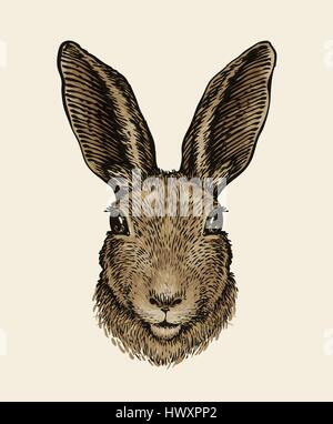 Lapin de Pâques. Portrait de hare, croquis. Vintage vector illustration Illustration de Vecteur