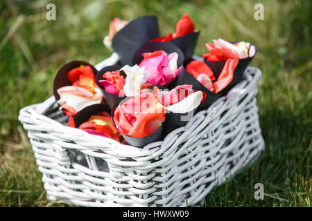 Mariage. Cérémonie. Sur l'herbe verte il y a des enveloppes avec des pétales de rose pour la cérémonie du mariage Banque D'Images