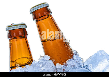 Close-up de bouteilles de bière brune figée dans des cubes de glace et isolé sur un fond blanc. Banque D'Images