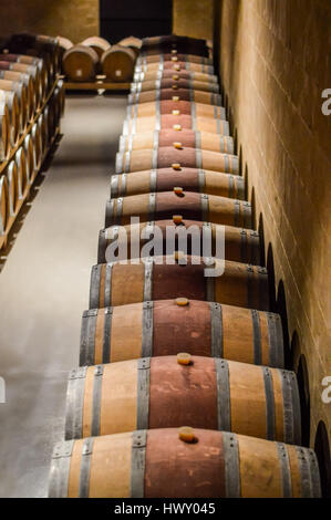 Rangées de tonneaux de vin en cave de vinification Banque D'Images