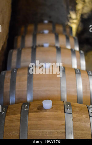 Rangées de tonneaux de vin en cave de vinification Banque D'Images