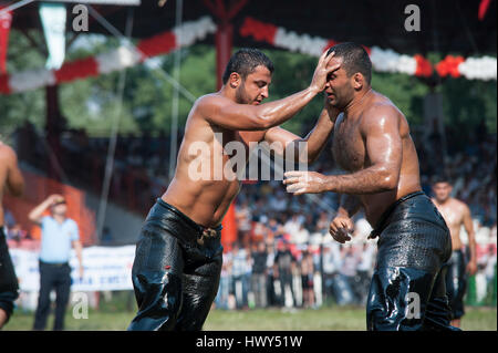 La Turquie, EDIRNE : 'l'huile de Kirkpinar Historique Wrestling' est le plus ancien événement sportif après les Jeux Olympiques, qui se poursuit depuis la firs Banque D'Images