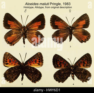 Le titre 'AloeidesMalutiMFUpUnAC13' semble être un identifiant codé pour un objet, une illustration ou une image spécifique. Sans autre contexte, il n'est pas clair ce qu'il représente, mais il peut s'agir d'une référence à une collection ou à une entrée de catalogue. Banque D'Images