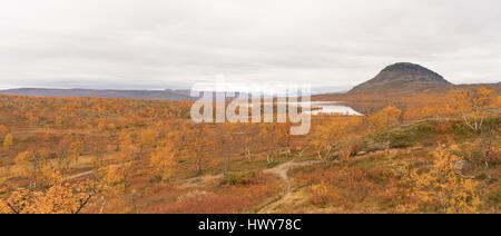 Voir l'automne de la Laponie EN SUÈDE PRÈS DU norvégien, finlandais et suédois frontière. Banque D'Images