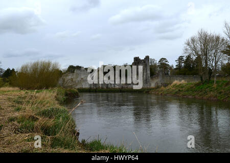 Ruines du château de Desmond dans Adare Irlande. Banque D'Images