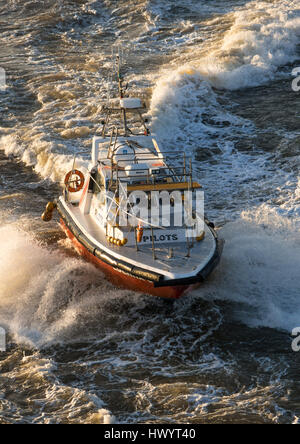 Bateau pilote, vient d'expédier à collecter pilote, Montevideo, Uruguay Banque D'Images