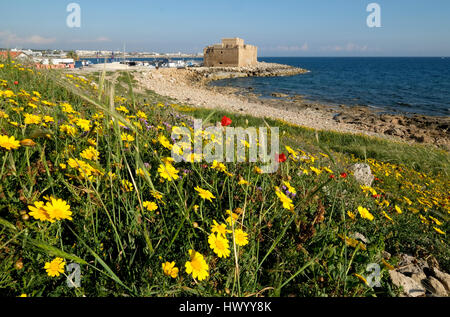 Au printemps, Paphos Paphos (Château Fort) avec une banque de couronne de fleurs Daisy en pleine floraison sur la rive. Banque D'Images