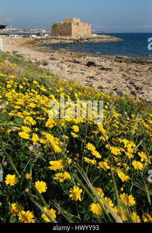 Au printemps, Paphos Paphos (Château Fort) avec une banque de couronne de fleurs Daisy en pleine floraison sur la rive. Banque D'Images