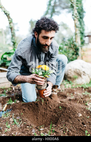 Homme planter des fleurs dans son jardin Banque D'Images