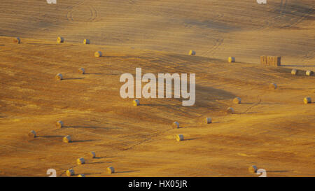 Vue aérienne de bottes de foin dans le champ labouré farm in rural landscape Banque D'Images