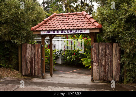 Martinique, Jardine de Balata, forte de la France, la route de Balata, N3, jardins horticoles tropicaux dans une jungle, Banque D'Images