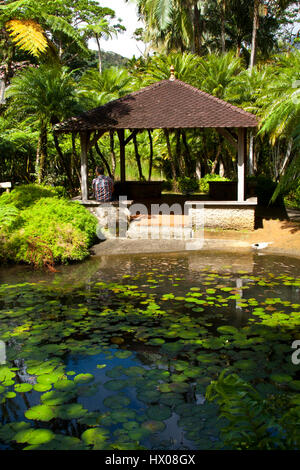 Martinique, Jardine de Balata, forte de la France, la route de Balata, N3, jardins horticoles tropicaux dans une jungle, Banque D'Images