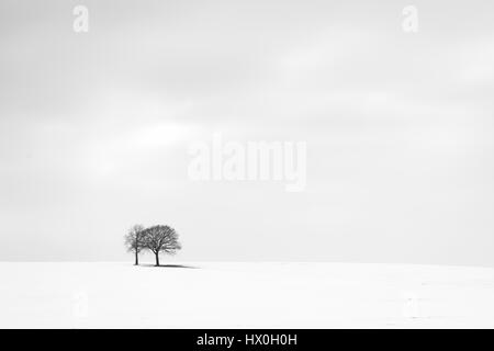 Noir et blanc minimaliste d'une vallée couverte de neige avec deux arbres Banque D'Images