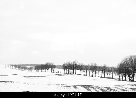 Lohmen, Allemagne - le 12 février 2017 : noir et blanc minimaliste d'une vallée couverte de neige avec des matières d'arbres et les gens qui marchent avec des chiens Banque D'Images