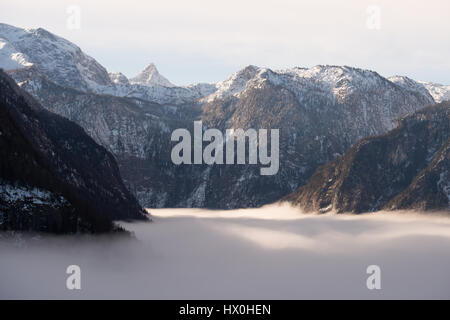 La rive du lac recouvert de sapin en treest matin brumeux, Königssee, Allemagne Banque D'Images