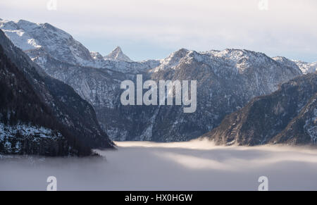 La rive du lac recouvert de sapin en treest matin brumeux, Königssee, Allemagne Banque D'Images