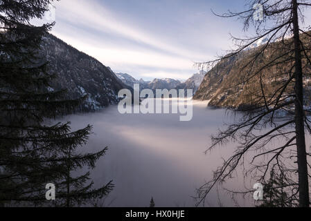 La rive du lac recouvert de sapin en treest matin brumeux, Königssee, Allemagne Banque D'Images