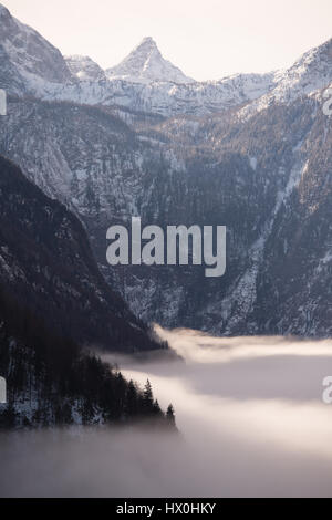 La rive du lac recouvert de sapin en treest matin brumeux, Königssee, Allemagne Banque D'Images