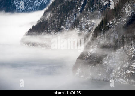 La rive du lac recouvert de sapin en treest matin brumeux, Königssee, Allemagne Banque D'Images