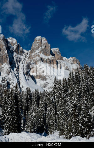 Le panorama idyllique de la forêt enneigée et pics dans le Dolomiti. Banque D'Images