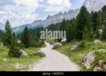 Chemin dans la forêt dans le Rosengarten Groupe des Dolomites. Banque D'Images