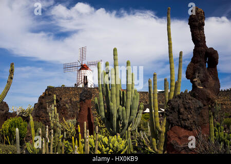 Jardín de cactus, une combinaison parfaite de l'art et l'architecture de jardin, est l'un des derniers projets de César Manrique à Lanzarote Banque D'Images