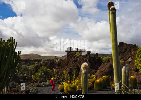 Jardín de cactus, une combinaison parfaite de l'art et l'architecture de jardin, est l'un des derniers projets de César Manrique à Lanzarote Banque D'Images