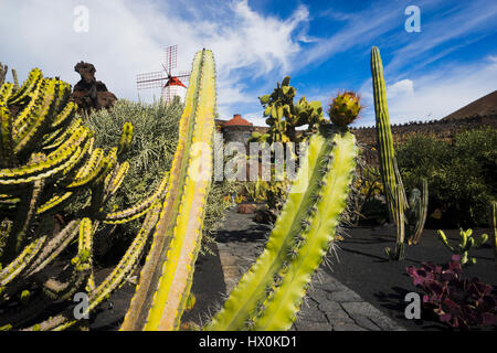 Jardín de cactus, une combinaison parfaite de l'art et l'architecture de jardin, est l'un des derniers projets de César Manrique à Lanzarote Banque D'Images