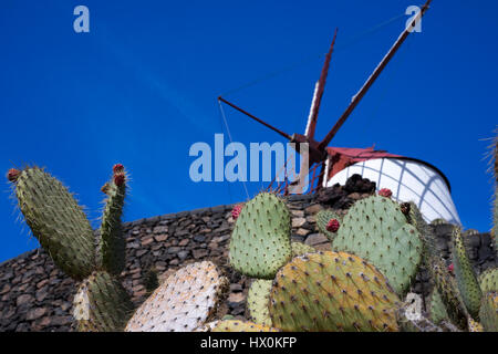 Jardín de cactus, une combinaison parfaite de l'art et l'architecture de jardin, est l'un des derniers projets de César Manrique à Lanzarote Banque D'Images