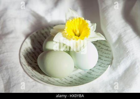 Festivals, religieux, Pâques, Studio shot d'oeufs sur une soucoupe en céramique avec jaune jonquille. Banque D'Images