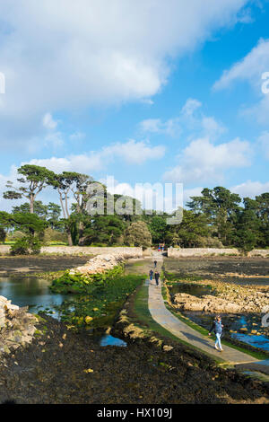 Arzon (Bretagne, nord-ouest de la France) : l'Île Berder Banque D'Images