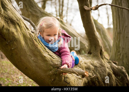 Petite fille active bénéficiant d'escalade sur le tree Banque D'Images