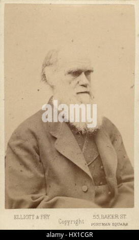 Une photographie de Charles Darwin de la fin des années 1870, prise par le célèbre studio Elliott and Fry, capturant les traits vieillissants et l'expression digne du naturaliste. Cette image reflète ses dernières années et son influence durable sur la science. Banque D'Images