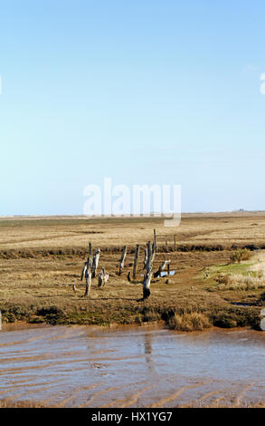 Creek et d'anciens messages sur la côte nord du comté de Norfolk à Thornham, Norfolk, Angleterre, Royaume-Uni. Banque D'Images