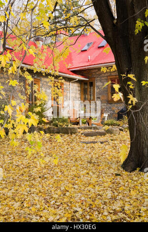 Vue arrière de l'ancienne maison en pierre des Canadiana 1832 rouge avec toit en tôle et des chaises Adirondack sur l'arrière-cour patio en automne Banque D'Images