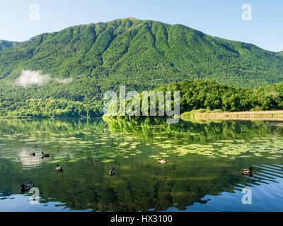 Carlazzo, Italie : Lac Piano est un petit lac situé dans le Val Menaggio. Il a une superficie de 0,72 km2 et une profondeur maximale de 13 mètres et occupe la Banque D'Images