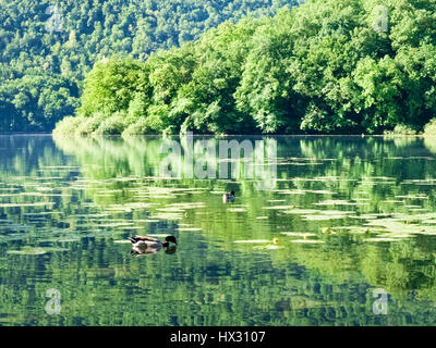 Carlazzo, Italie : Lac Piano est un petit lac situé dans le Val Menaggio. Il a une superficie de 0,72 km2 et une profondeur maximale de 13 mètres et occupe la Banque D'Images