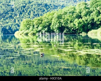 Carlazzo, Italie : Lac Piano est un petit lac situé dans le Val Menaggio. Il a une superficie de 0,72 km2 et une profondeur maximale de 13 mètres et occupe la Banque D'Images