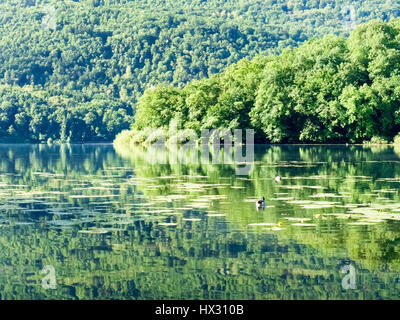 Carlazzo, Italie : Lac Piano est un petit lac situé dans le Val Menaggio. Il a une superficie de 0,72 km2 et une profondeur maximale de 13 mètres et occupe la Banque D'Images